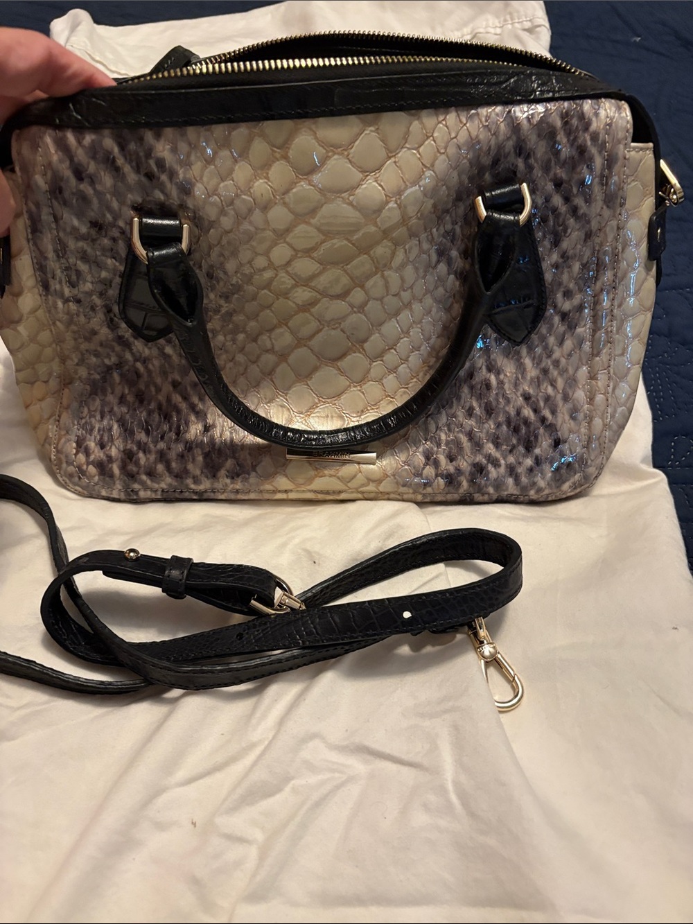 Brahmin Cream and Black Snake-Embossed Satchel with Removable Strap